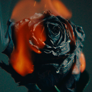 在线电影一区二区三区
